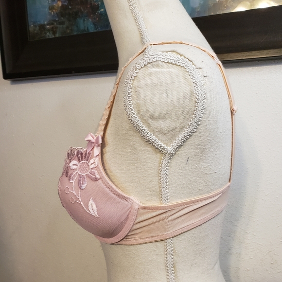 Victoria's Secret Embroider Push-up Bra - Picture 2 of 6